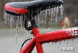 这才是多伦多：暴风雪还冬天面目