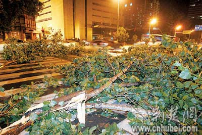 大风雷暴冰雹突袭武汉城区大面积停电(组图)