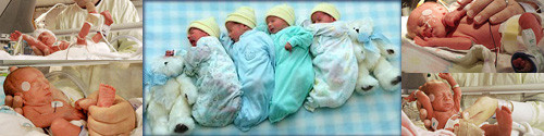 070823 quadruplets 500x125.jpg