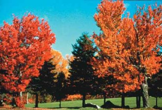 精选一组加拿大秋天赏枫的风光照片