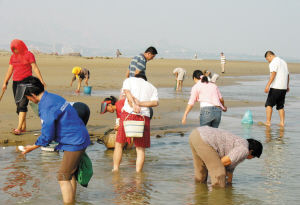 台风并非一无是处 2吨海鲜被冲上浅海