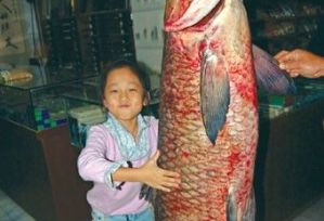 郑州一游客从水库钓上５５公斤大青鱼