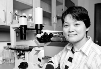 留美中国女科学家造万能细胞 意义重大