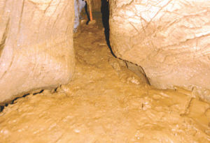 重庆男子失足掉进神秘洞穴 发现白骨堆