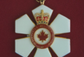 2007年都有哪些人荣获“加拿大勋章”？