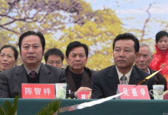 多维：吴官正之子卖地得利21亿元？