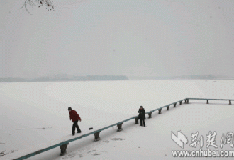 武汉东湖时隔39年再现全线冰封“奇观”