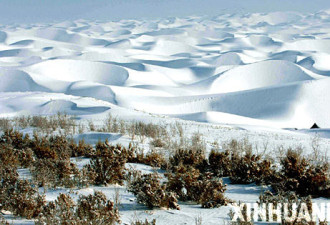 新疆塔克拉玛干沙漠降雪 沙海变雪原