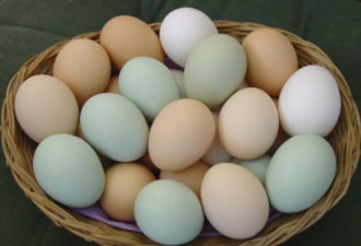 女性如果天天吃鸡蛋 死亡率要高22%