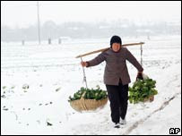 湖北农村一名妇女挑着菜在雪地里走