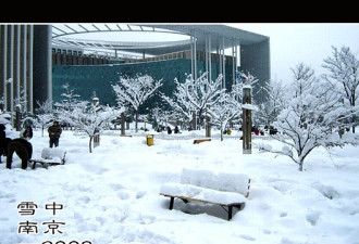 网友实拍：中国南方的雪，很大很暴力