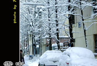 网友实拍：中国南方的雪，很大很暴力