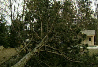 安省大风9万户停电 加西大雪3人冻死