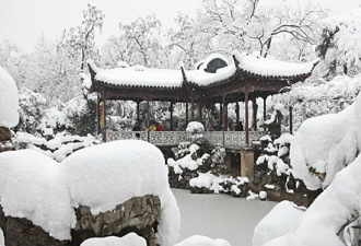 雪灾的背面：另一种江南美丽的雪景