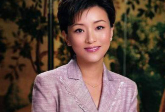 智慧加美貌 瞧瞧中国的十大美女CEO