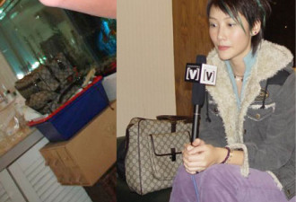 八卦“艳照门”细节透露明星奢侈生活