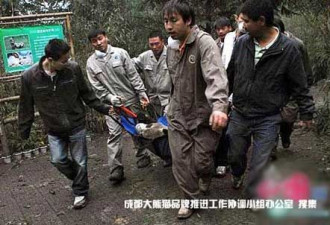 卧龙中国保护大熊猫研究中心震后现场