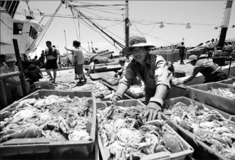 中韩渔业冲突升级 韩媒称中国渔民为海盗