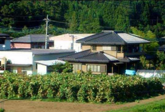 实拍日本农村 从容散漫 很干净很有钱