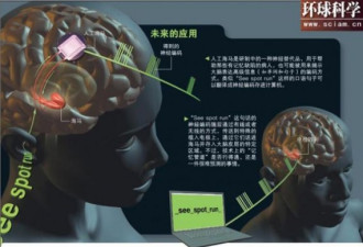 科幻成真：通过脑机接口黑掉人类大脑