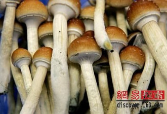 盘点餐桌上熟视无睹的十大有毒的食物