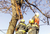 北京大风：将修房男子刮到15米高树上
