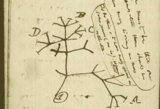 科学家发现达尔文生物进化树理论不正确
