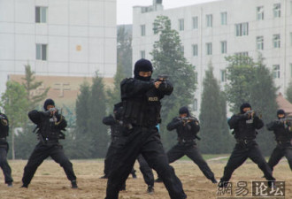 网友自述：在中国特种部队的艰辛生活
