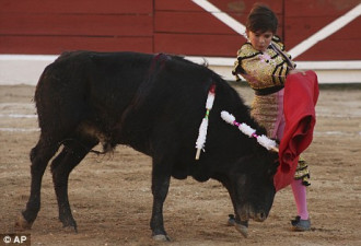 11岁斗牛士为创世界记录杀死六头公牛