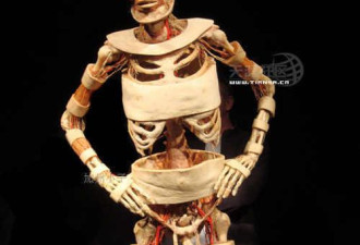 美国尸体艺术展：艺术但还是怪吓人的