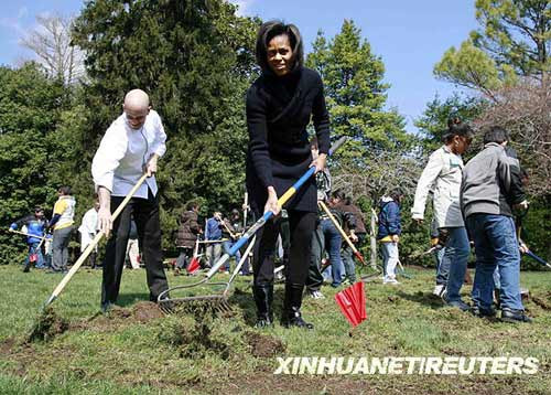 美国第一夫人在白宫草坪开辟菜园(组图)