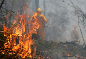 澳大利亚称已有84人在山林大火中丧生