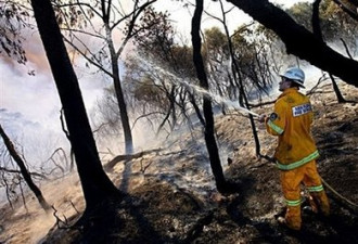 澳洲山火致230死 消防志愿者涉嫌纵火