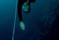英自由潜水美女下潜96米 刷新世界纪录