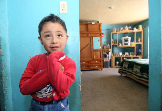 墨西哥一名5岁男孩或是猪流感爆发源头
