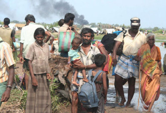 斯里兰卡近6万平民逃离内战交火地区