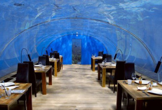 太舒服了：看世界首家全玻璃海底餐厅