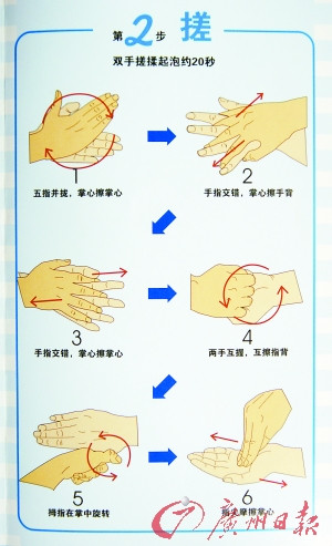 世卫组织推出预防甲型流感六步洗手法(图)