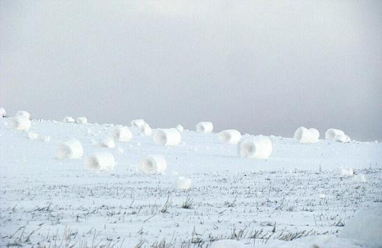 美国男子拍下自然界罕见雪卷奇景(组图)