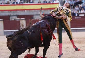 震撼一幕：西班牙斗牛士被牛角刺穿了