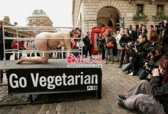 全球最疯狂的孕妇：孕妇裸体抗议农场