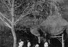 旧上海的风尘女子和名媛们的真实生活