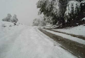 实拍新疆罕见的夏季暴雪 30年来首见