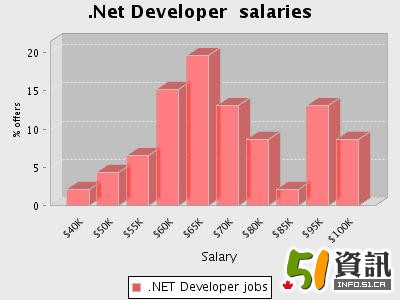 .NET salary picture