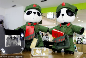 80后海归：年轻人打造的“中国芭比”
