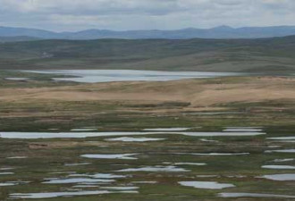 玛曲湿地：数千泉眼消失11条河流干涸