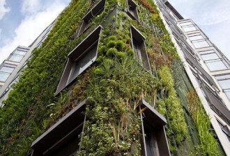 植物学家建造出令人惊叹空中垂直花园