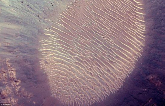 图片展示的巨指纹位于火星Coprates 地区Fan附近的一个陨坑内。这个巨大的指纹状结构可能由蒸发岩形成。蒸发岩是水蒸发形成的沉积物。