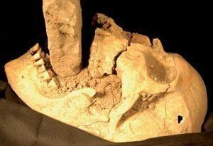 意大利挖掘中世纪墓 发现&quot;吸血鬼&quot;尸骨