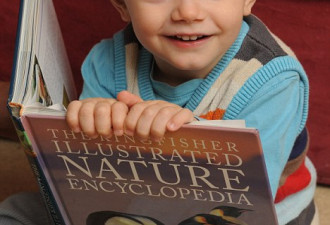 英国2岁男童智商超160堪比爱因斯坦